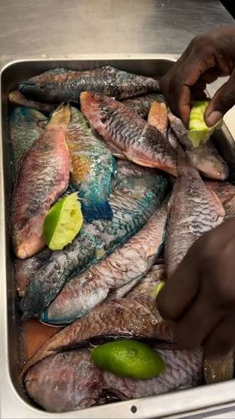 Poisson (frit, grillé ou court-bouillon)