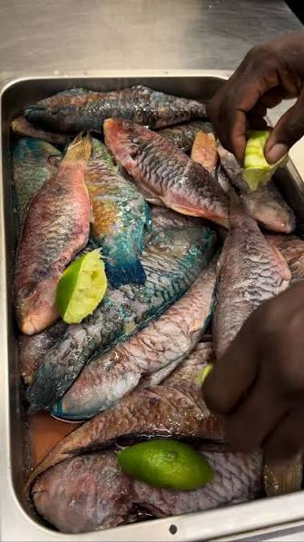 Poisson (frit, grillé ou court-bouillon)